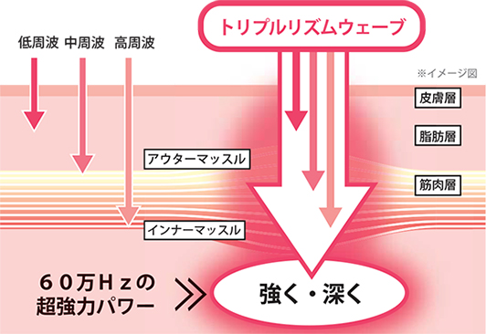 予防｜EMS｜Celeb Reborn 金沢 -よつば院-｜痛みの改善から美容まで